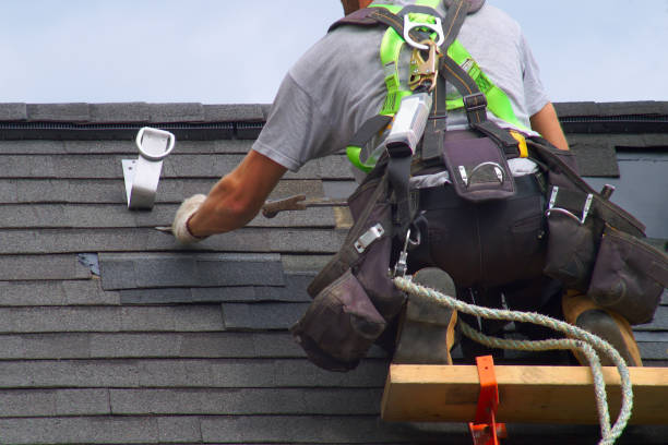 Best Roof Moss and Algae Removal  in Cana, VA