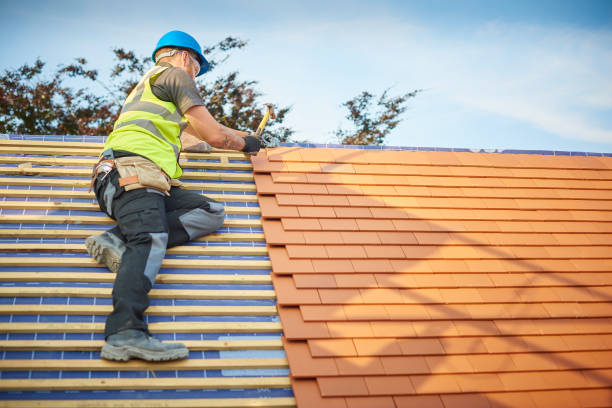 Fast & Reliable Emergency Roof Repairs in Cana, VA